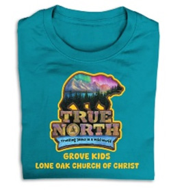 VBS shirt